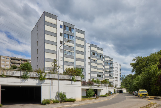 image Chemin des Libellules 12